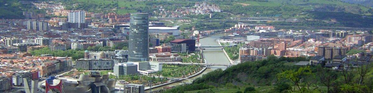 Ofrecemos asistencia técnica en el desarrollo e implementación de la estrategia ambiental al ayuntamiento de Bilbao