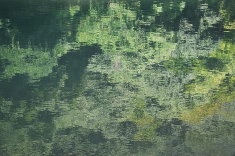 chris-barbalis-yJzKgtDv_VA-unsplash